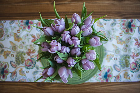 purple tulips flower bouquet thumbnail
