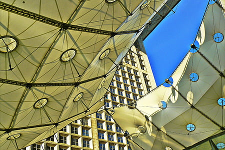 low angle photography of canopy thumbnail