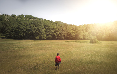 man wearing red shirt standing on grass field and facing green treeline during daytime photo thumbnail