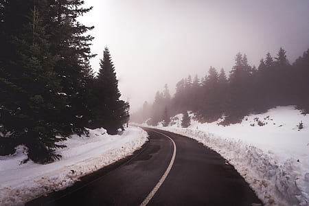 black concrete road beside snow covered ground and trees thumbnail