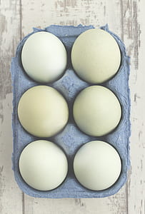 close up photography of six poultry eggs in tray thumbnail
