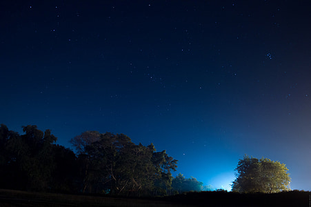 car park near to tree during night thumbnail