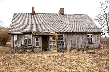 gray wooden house beside bare tree during daytime thumbnail