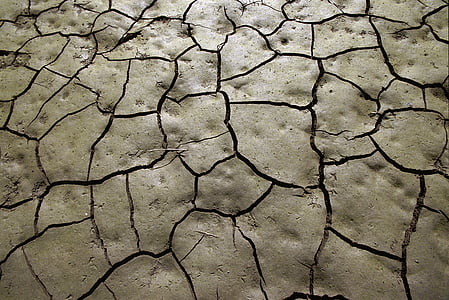 dry land thumbnail