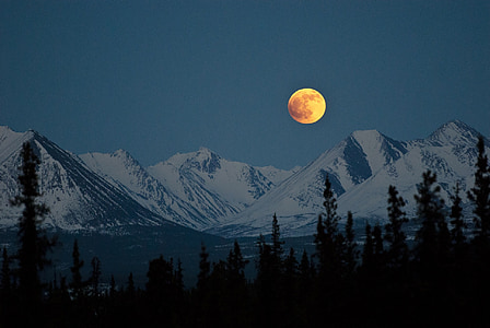 silhouette of tall trees near glacier mountain under full moon thumbnail