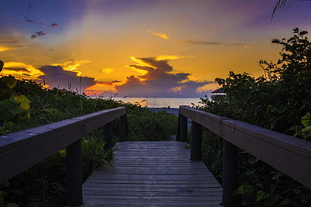 Photography of Wooden Bridge During Sunset thumbnail