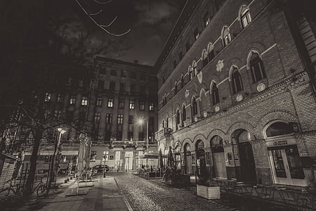 grayscale photography of building in front of tall trees thumbnail