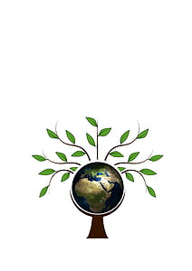 world globe illustration thumbnail