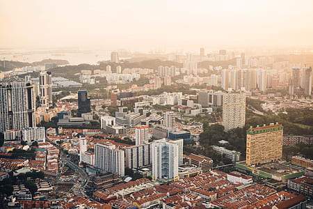 landscape photography of hi-rise buildings thumbnail