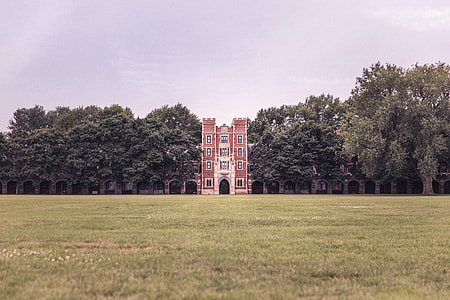 brown and white concrete building surrounded by tall tress under white sky thumbnail