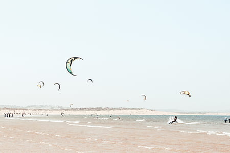 group of paragliders on sea thumbnail