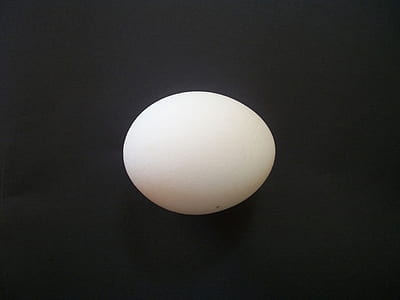 white egg thumbnail