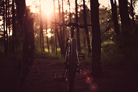 golden hour photography of bicycle in forest thumbnail