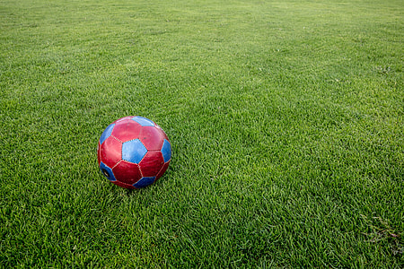 red and blue soccer ball on green grass thumbnail