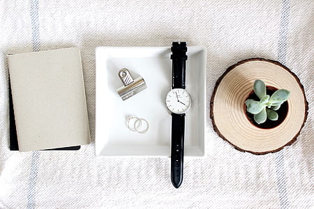 round silver-colored analog watch near potted green succulents thumbnail