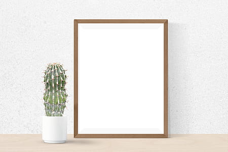green cactus on white ceramic cup thumbnail