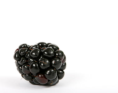blackberry with white background photo thumbnail