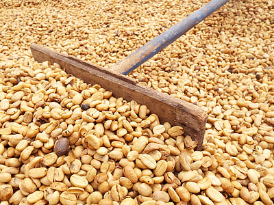 brown peanut lot with brown rake thumbnail