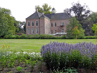 purple flowers in the garden in front of brown house thumbnail