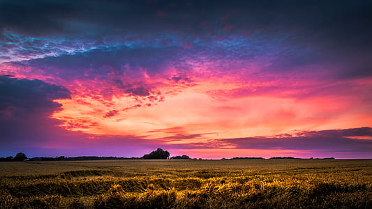 light, dawn, landscape, nature thumbnail