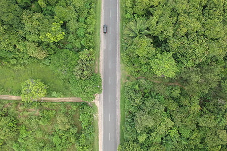 Aerial Photo of Black Vehicle on Grey Concrete Road Between Forest thumbnail