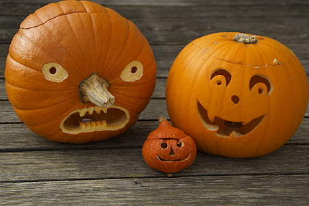 three brown pumpkin decors thumbnail