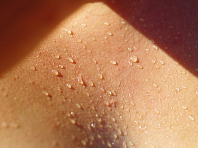 close-up photo of human kin thumbnail