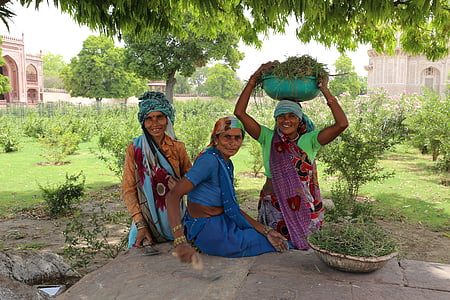 three woman smiling under green leaf tree thumbnail