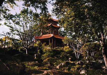 Oriental style building surrounded by trees thumbnail