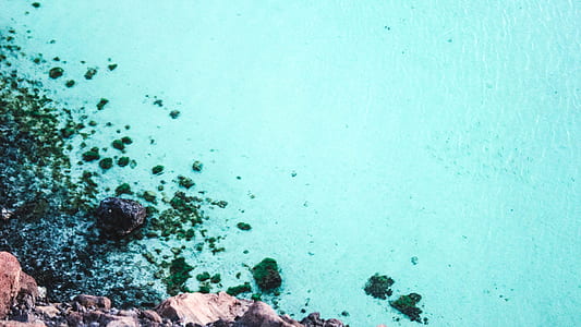 drop, water, rock, ocean thumbnail