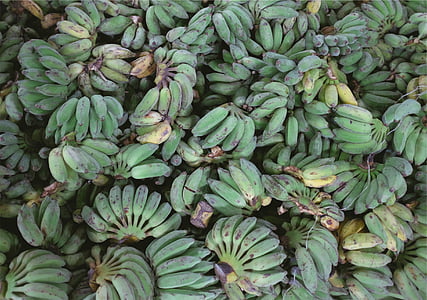 green banana lot thumbnail