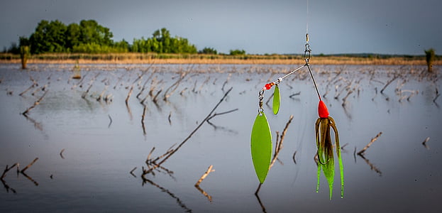 green fish lure on body of water thumbnail