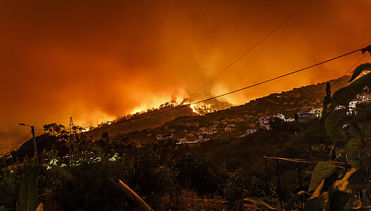 burning forest near houses thumbnail