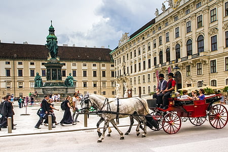 group of people riding horse carriage during daytime thumbnail