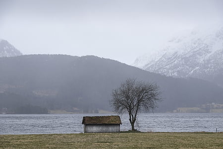 white and brown wooden house near bare tree thumbnail