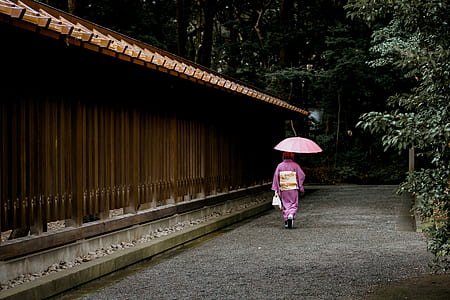 woman in pink and yellow kimono walking while holding pink wagasa umbrella thumbnail