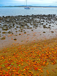 view of dirty shore thumbnail