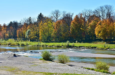 river near trees during daytime thumbnail