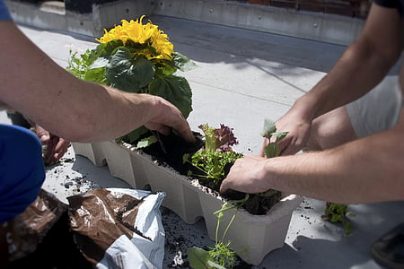 two people planting flowers on pot thumbnail