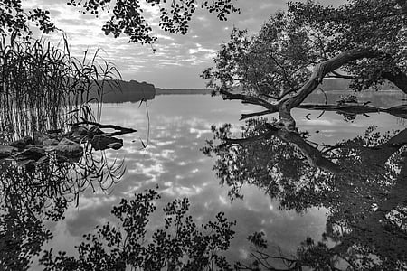 grayscale photography of body of water thumbnail