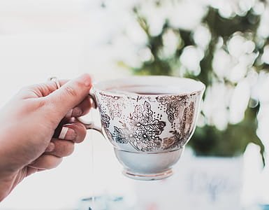 Person Holding Teacup thumbnail