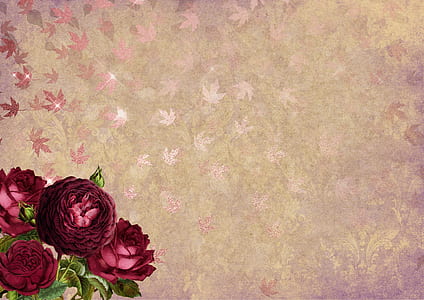 four red petaled flowers near beige surface thumbnail