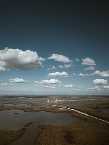 aerial photography of building surrounded with swamps thumbnail