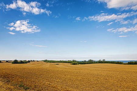 photo of brown grass fields thumbnail