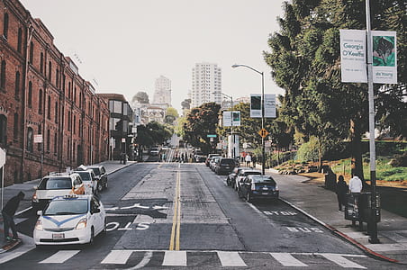 vehicles on road near trees and buildings thumbnail