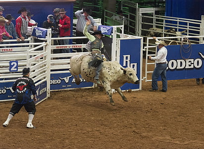 man rides on bull during daytime thumbnail