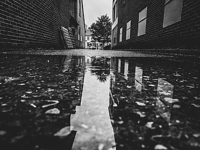 grayscale photo of water beside buildings thumbnail
