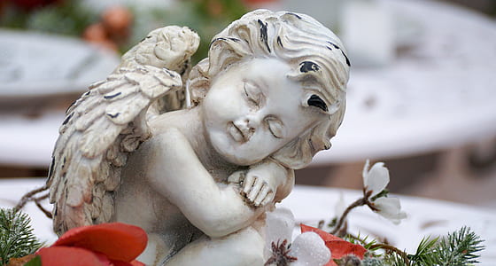 closeup photography cherub thumbnail