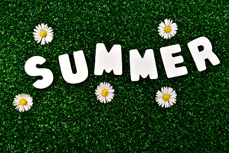 Grass and flowers thumbnail