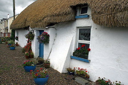 white paint concrete house thumbnail